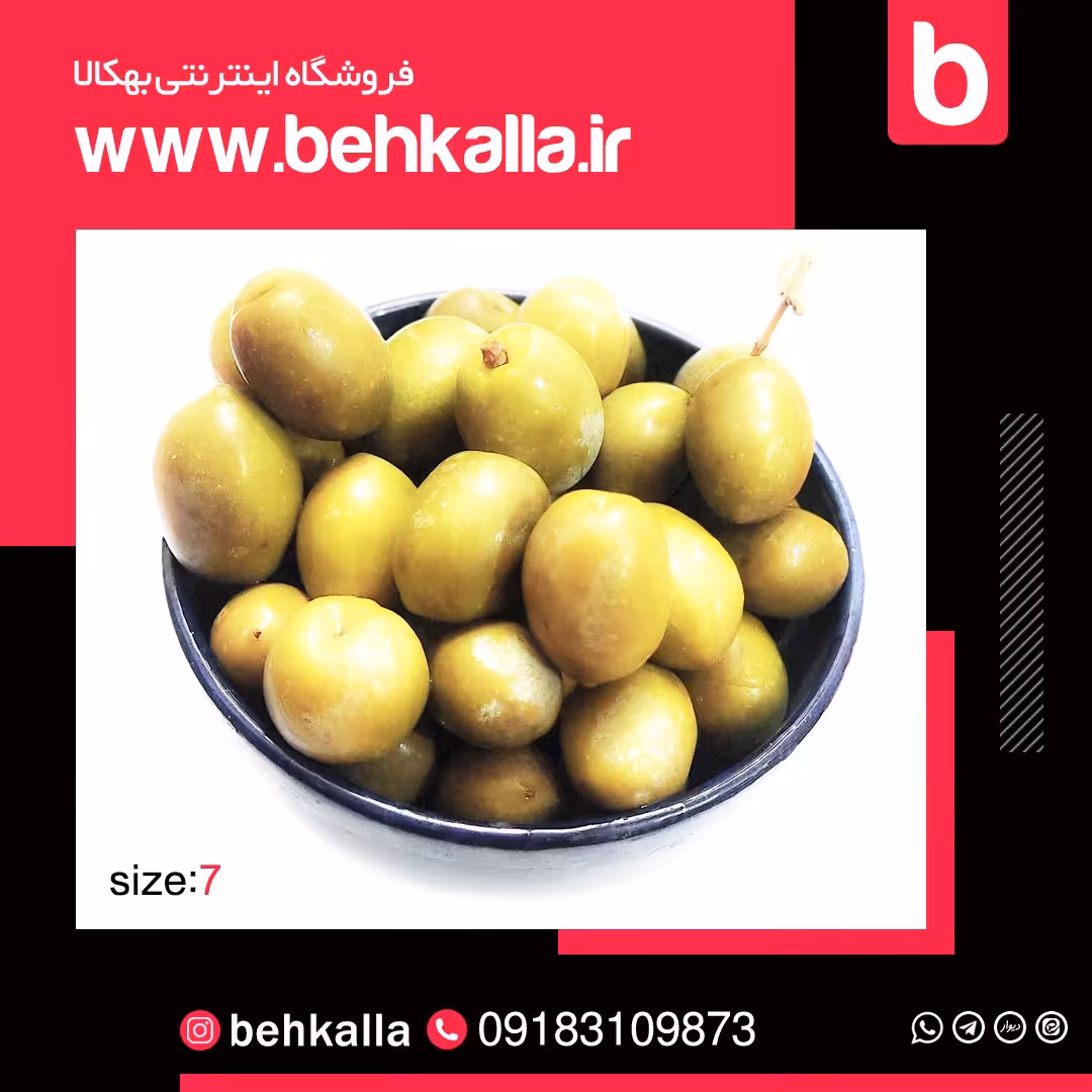 زیتون سایز  7