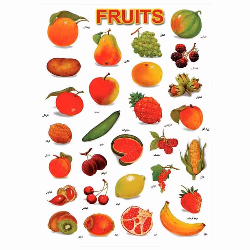 خرید برچسب آموزشی میوه ها