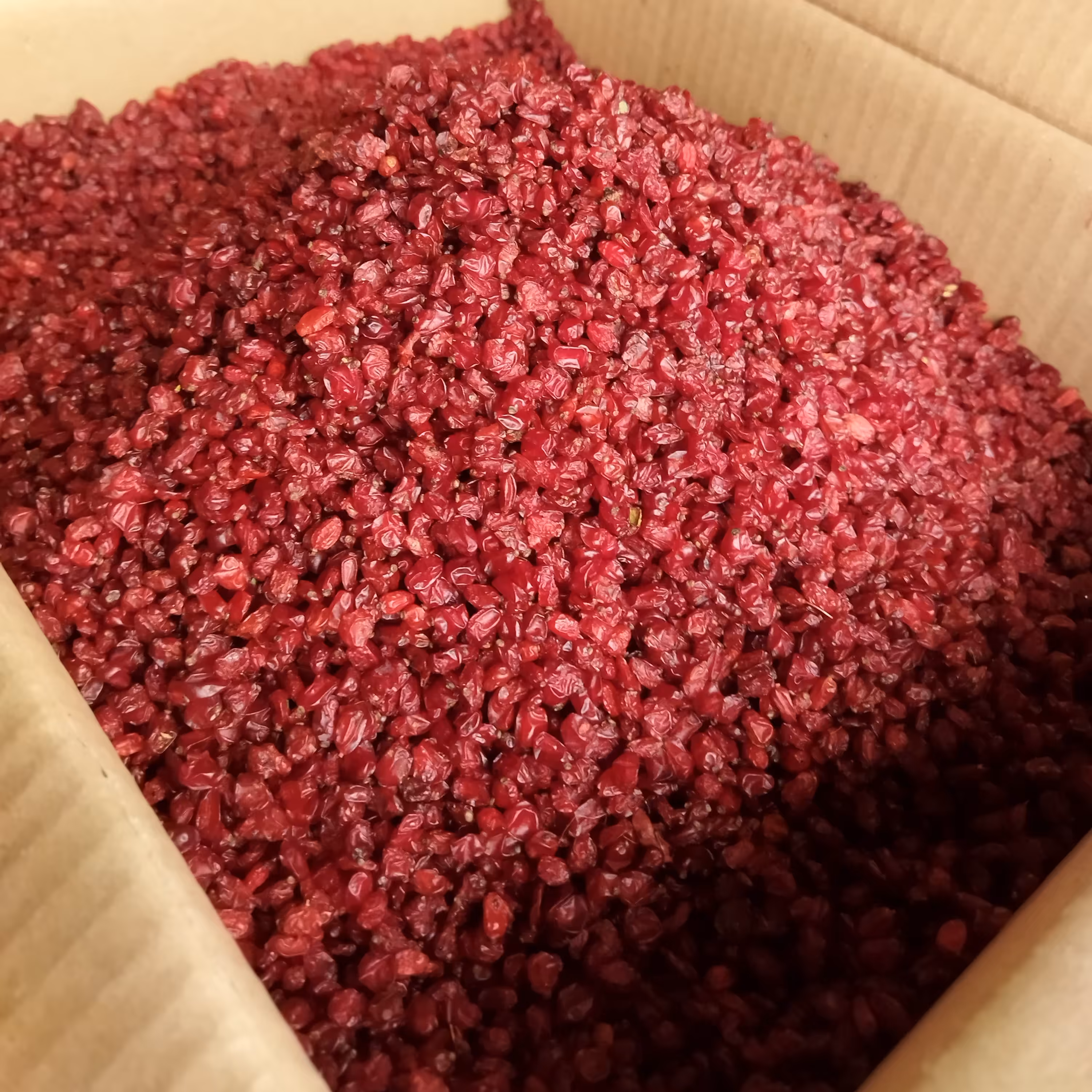 زرشک پفکی قاینات زرشک درشت 