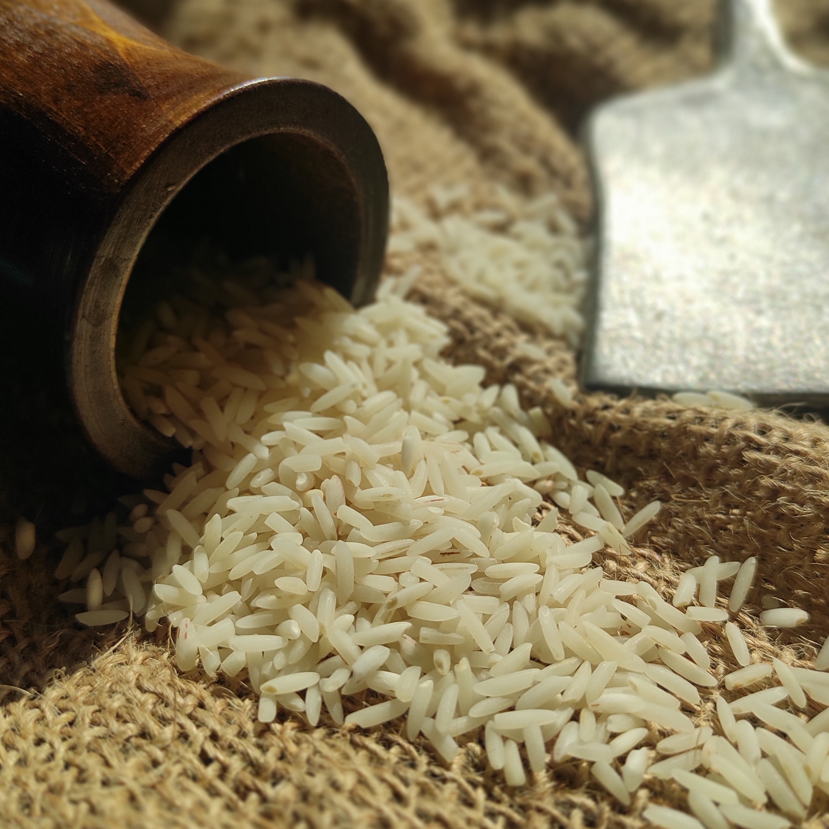 برنج هاشمی معطر کشت اول