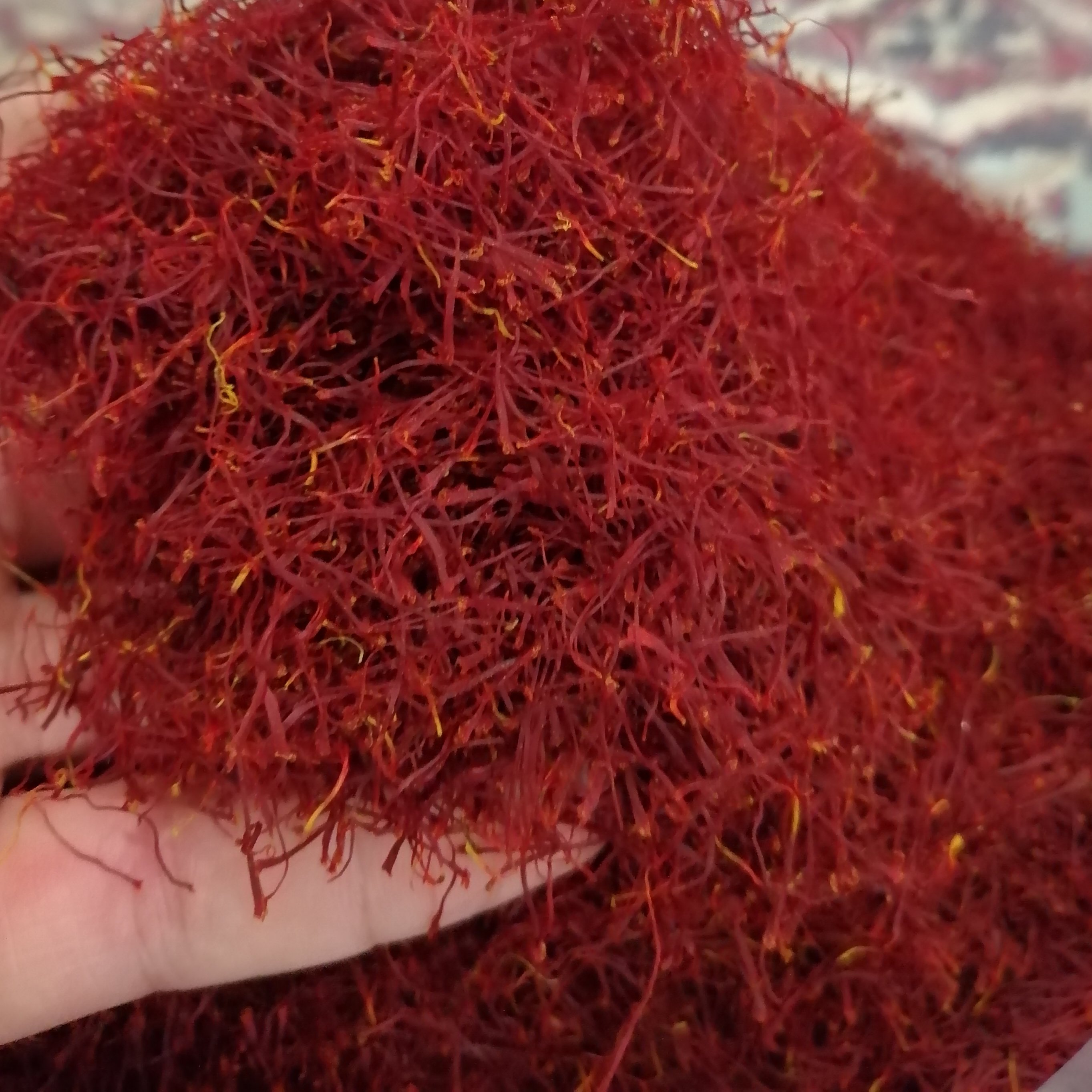 زعفران درجه یک