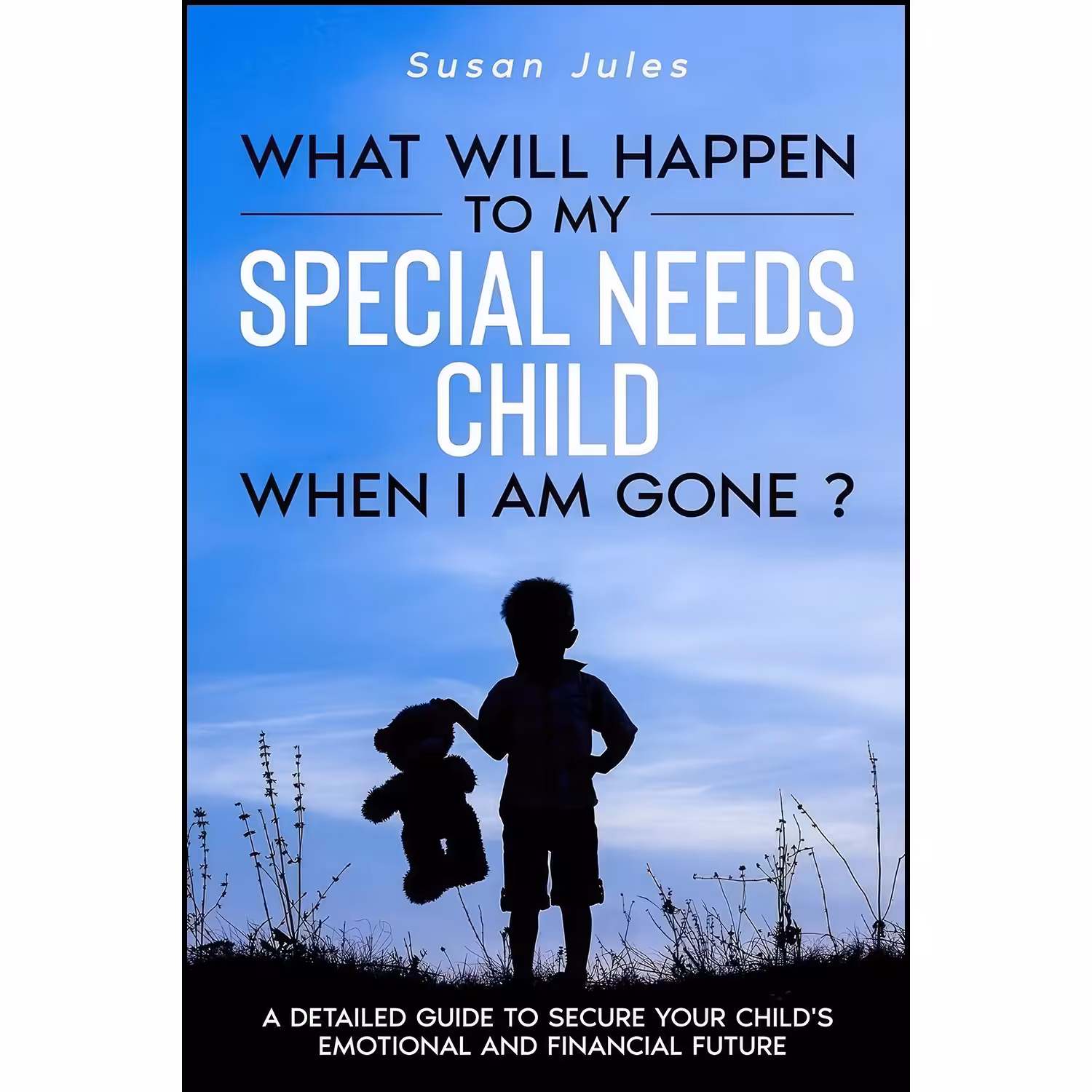 کتاب زبان اصلی What will happen to my Special Needs Child when I am gone