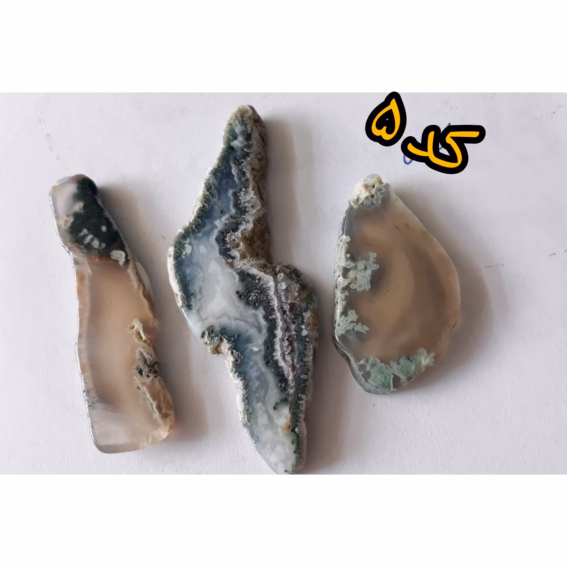 پک سه تایی اسلایس کلکسیونی شجر کد 5 