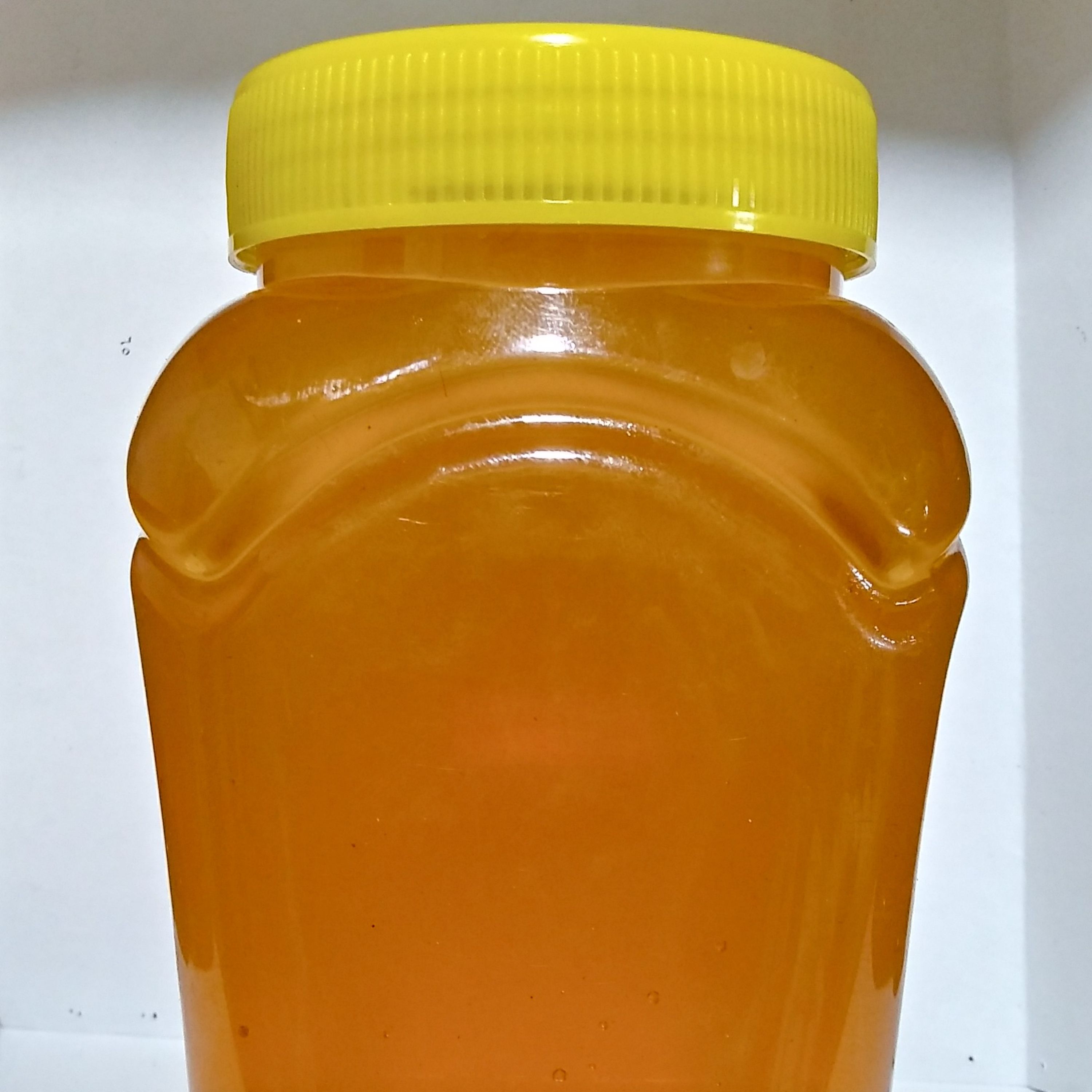 عسل خارمریم اعلاء با نتایج آزمایشگاهی عالی (عسل خار مریم) (یک کیلوئی)