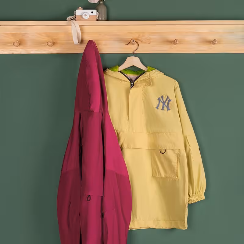 بارونی طرح هودی