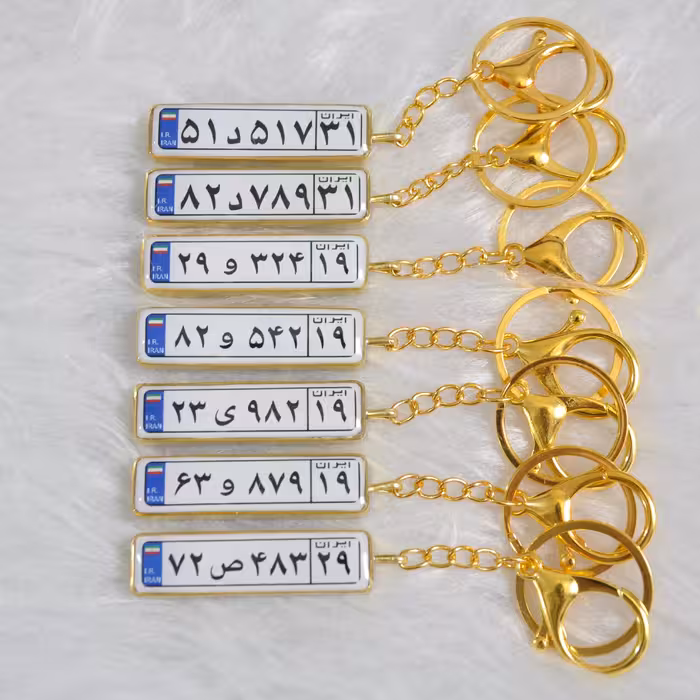 دسته کلیدپلاک خودرو رزینی  دسته کلید رزینی جاسویچی رزینی  جاسویچی پلاک خودرو دسته کلیدرزینی پلاک ماشین