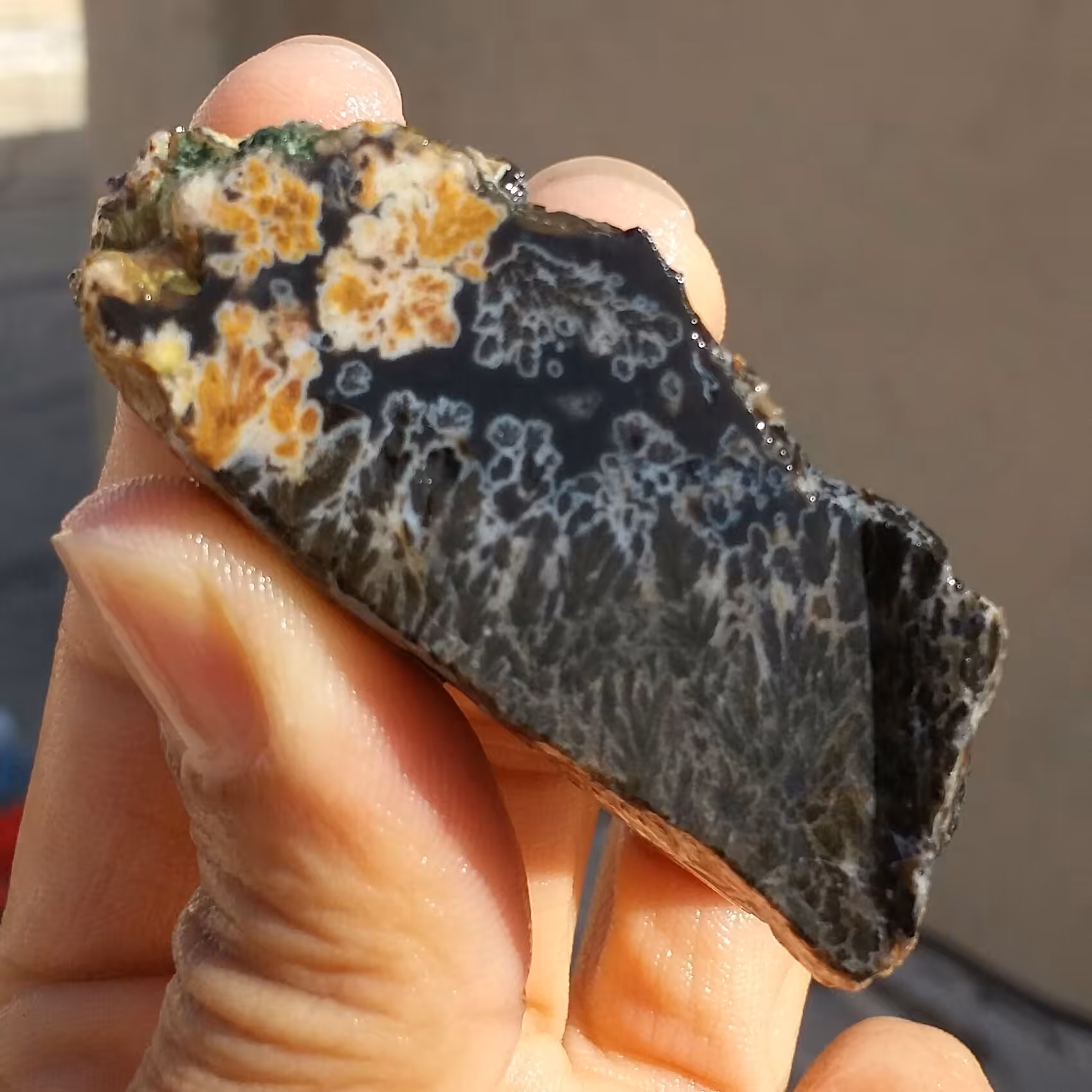 اسلایس سنگ راف شجر مشکی با شجرهای بسیار واضح با قابلیت ساخت چند نگین محشر و قیمتی
 100 در 100 طبیعی  
کد 11639