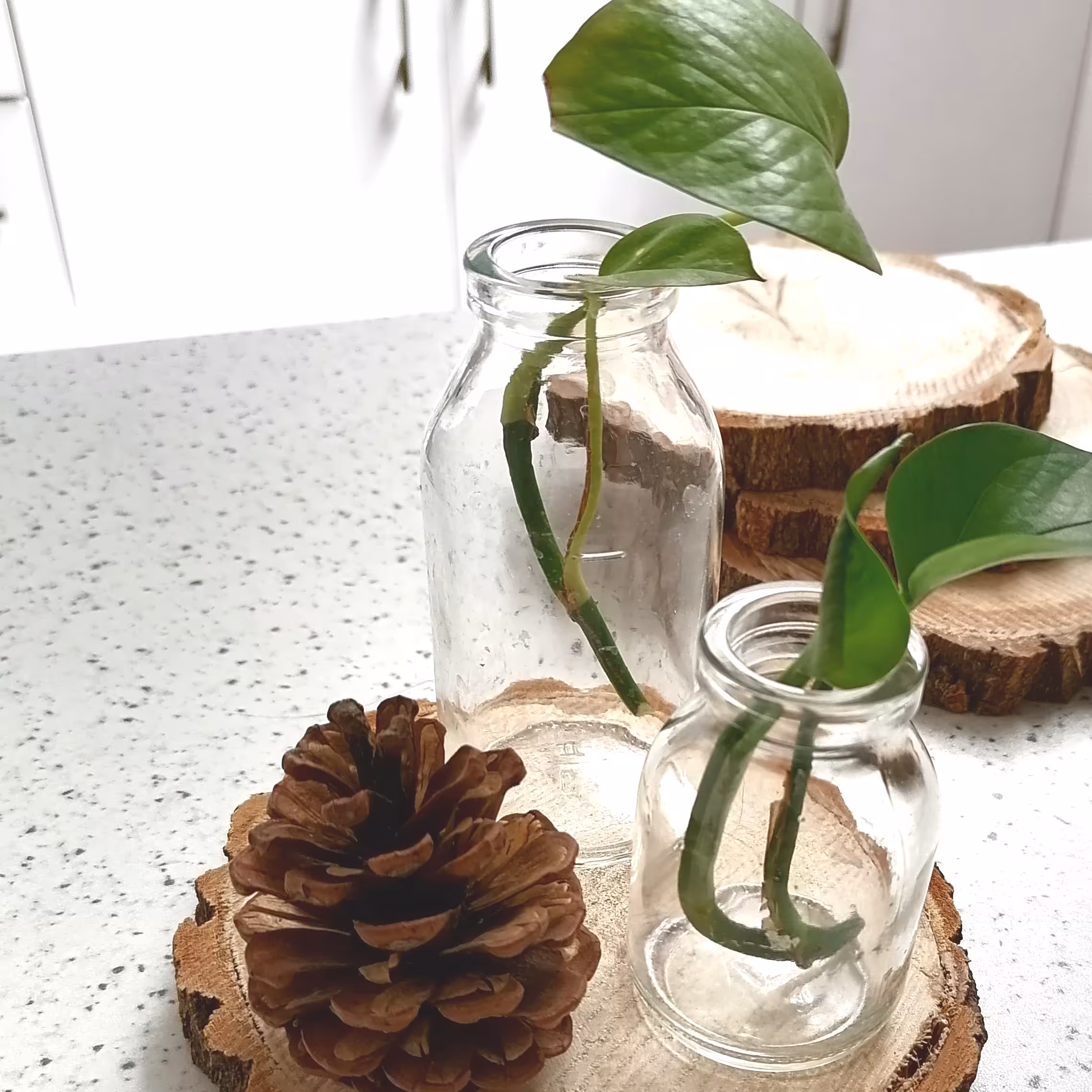 ویال شیشه ای سایز 2 ( گلدان شیشه ای) 