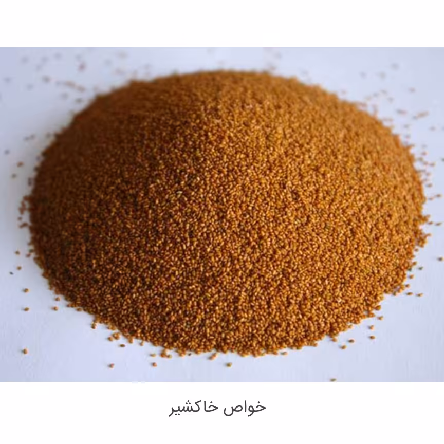 خاکشیر اعلا (100گرم)