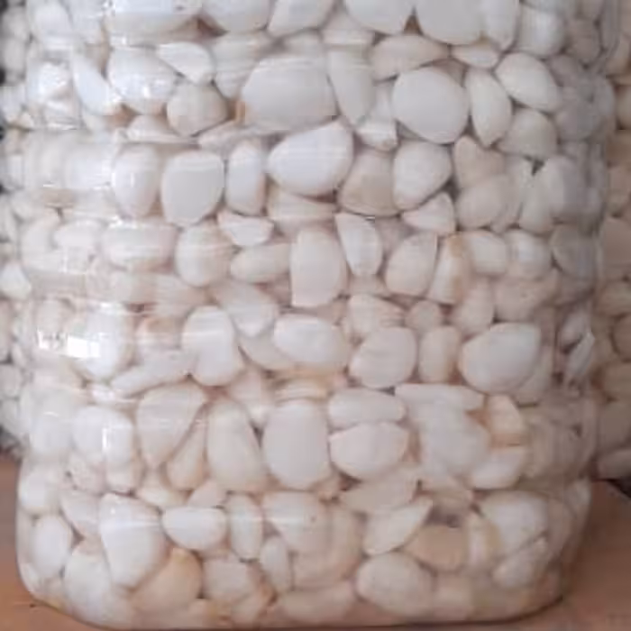 ترشی سیر 1 کیلویی