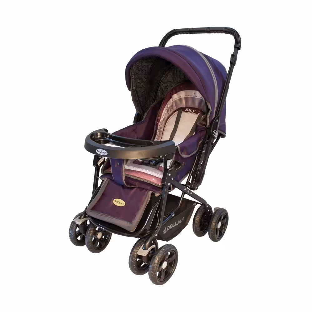 کالسکه دلیجان مدل 130 طرح sky بادمجانی