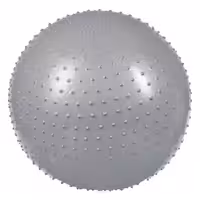 توپ ماساژ خاردار 65 سانتي 1200 گرم IR97404