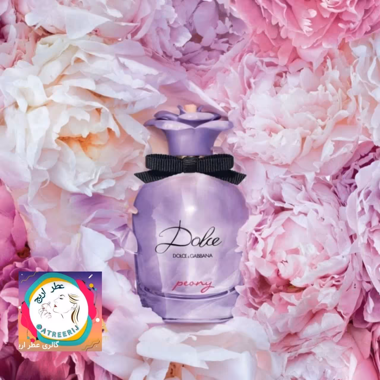 عطر خالص دولچه گابانا دولچه پیونی زنانه 1 گرم