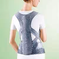 اسپاینل ادجاستر OPPO 2953