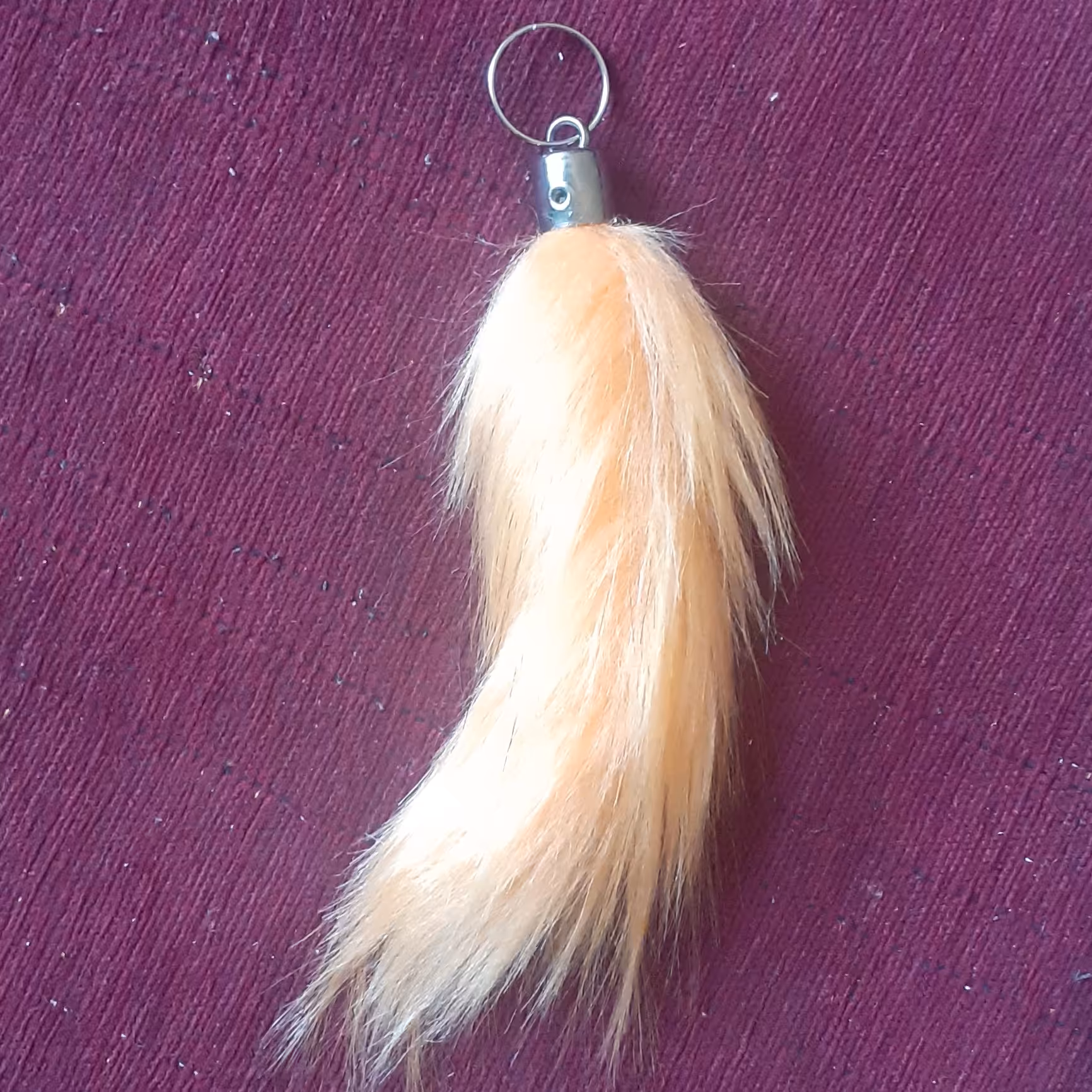 جاکلیدی دم سمور