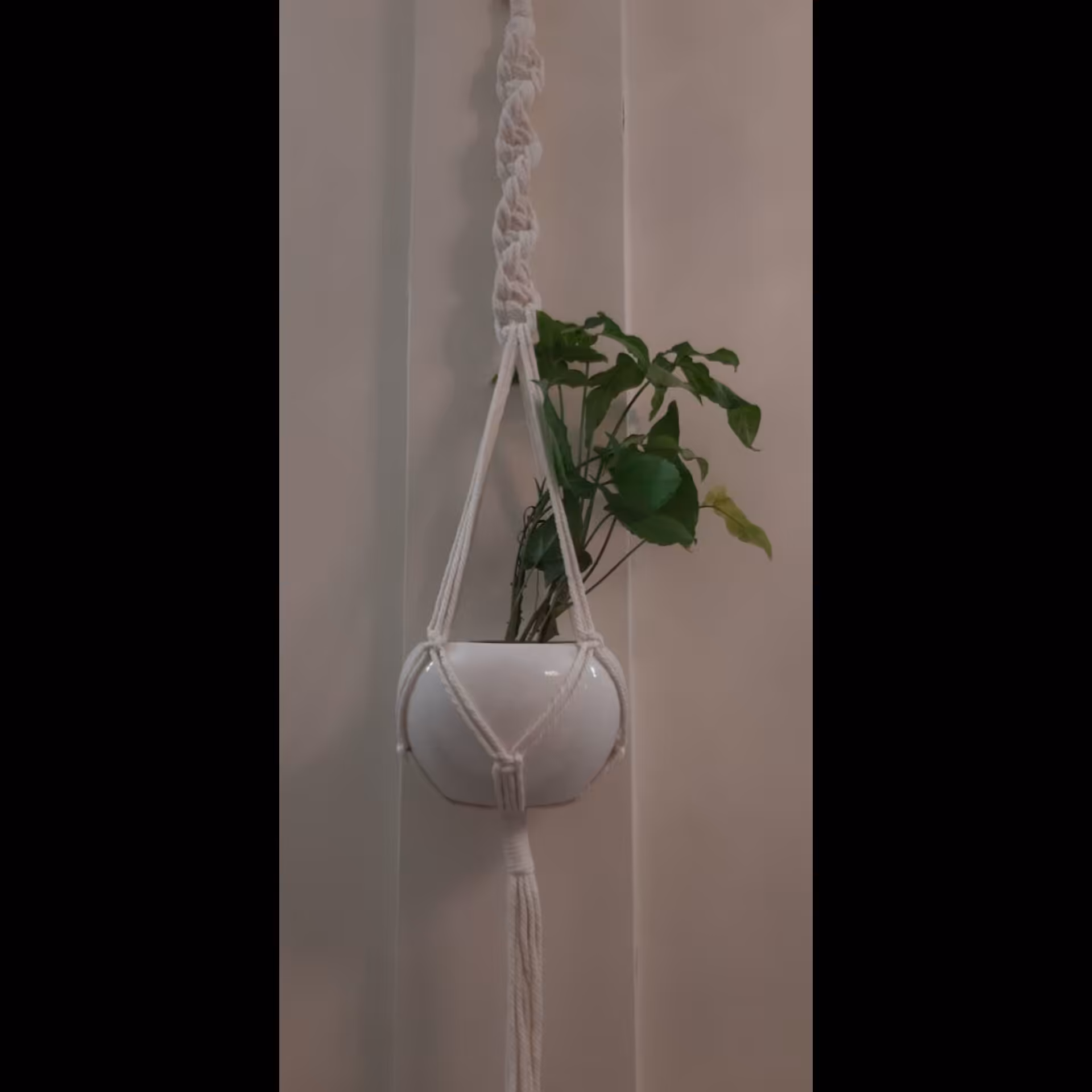 آویز گلدان مکرومه 