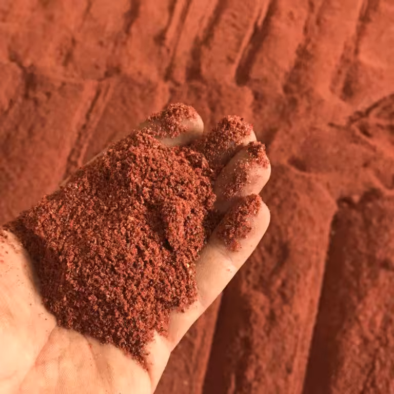 سماق قرمز  اعلا(200گرمی)