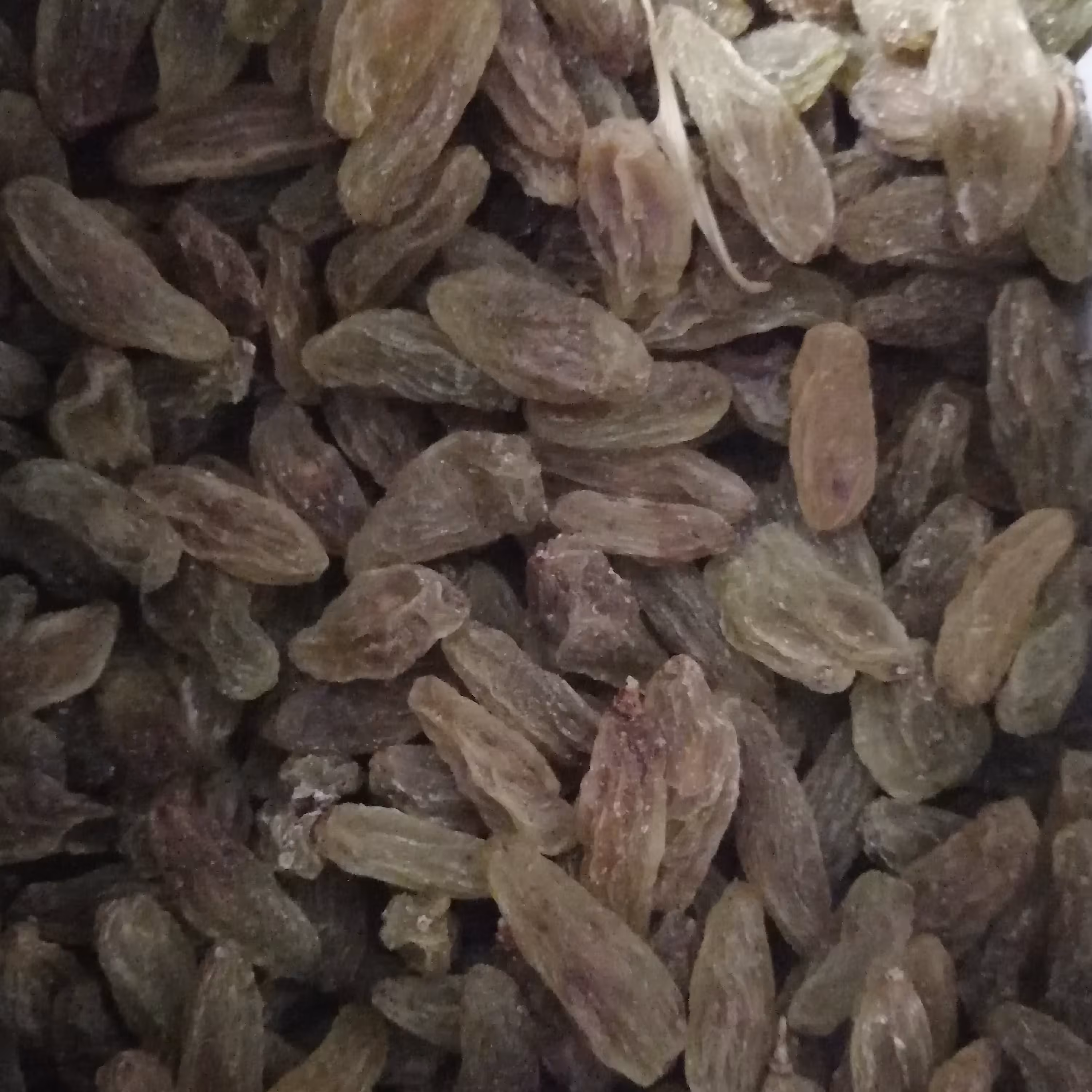 کشمش قلمی ممتازکاشمر یک کیلو