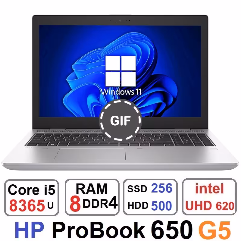 لپ تاپ اچ پی HP ProBook 650 G5 Core i5 8365u رم8و500