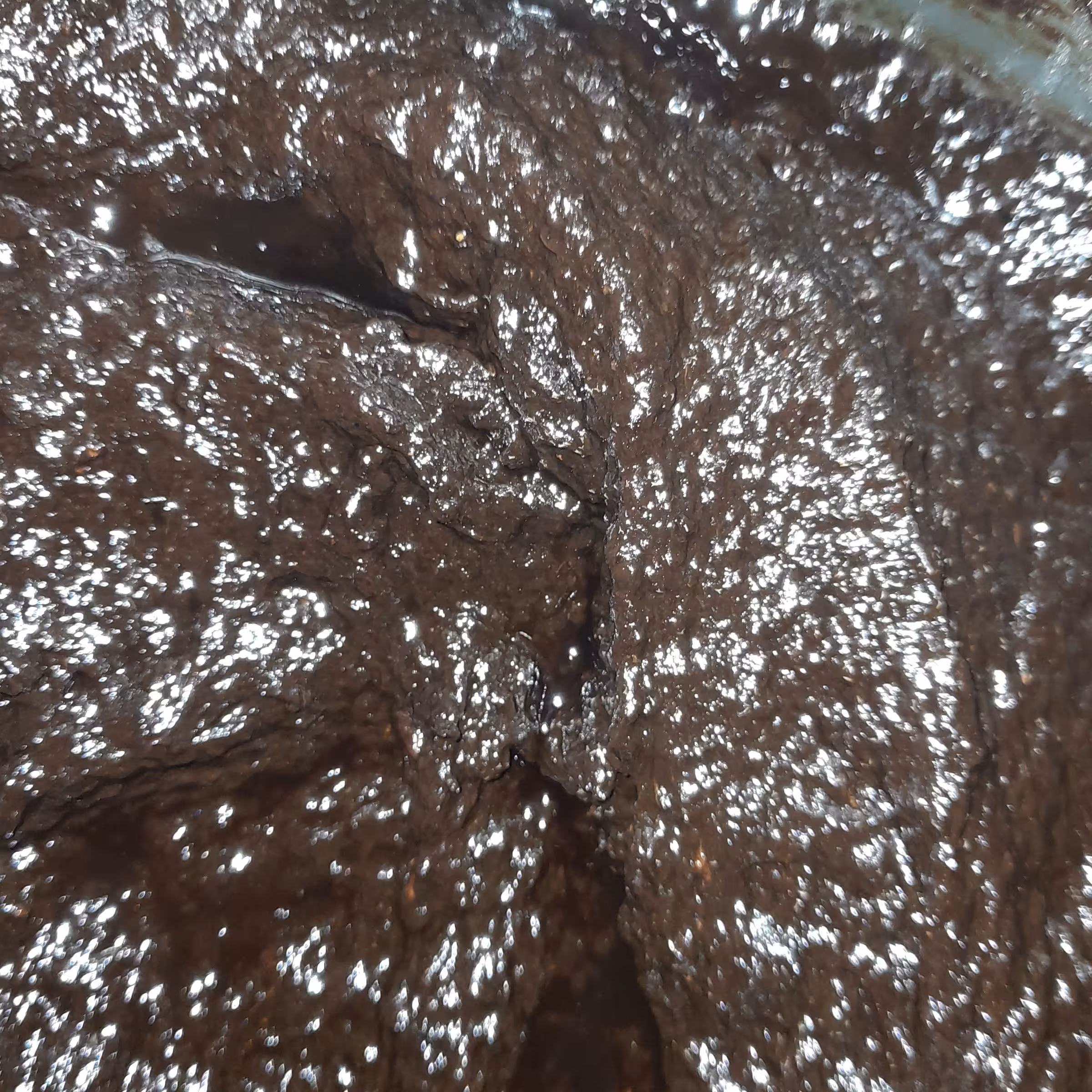 رب میوه ترش (900گرمی)