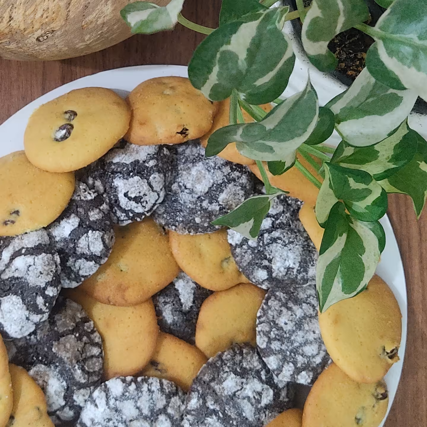 پکیج  پامچال کشمشی و کوکی کرینکل شکلاتی شیرینی مخصوص شکلات دوست ها تازه با بافتی بی نظیر  