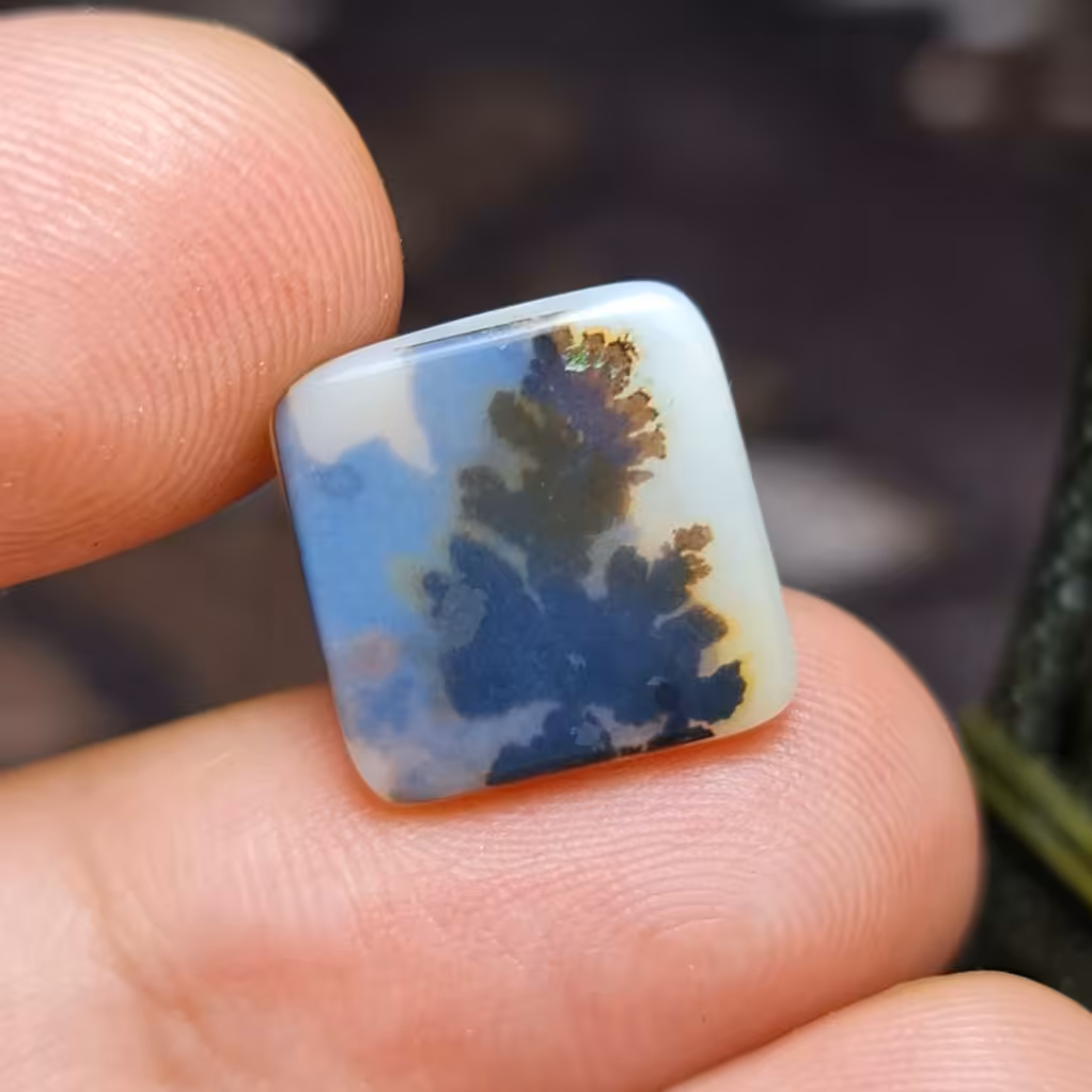 نگین فوق العاده زیبای سنگ صد درصد طبیعی عقیق شجر درختی اصل معدنی
کد  26396