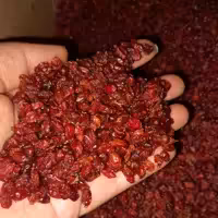 زرشک اعلا امسالی 