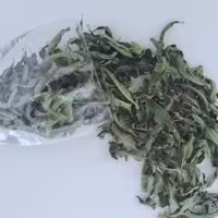 به لیمو خوش عطر و خوش طعم صهبا 50 گرمی 