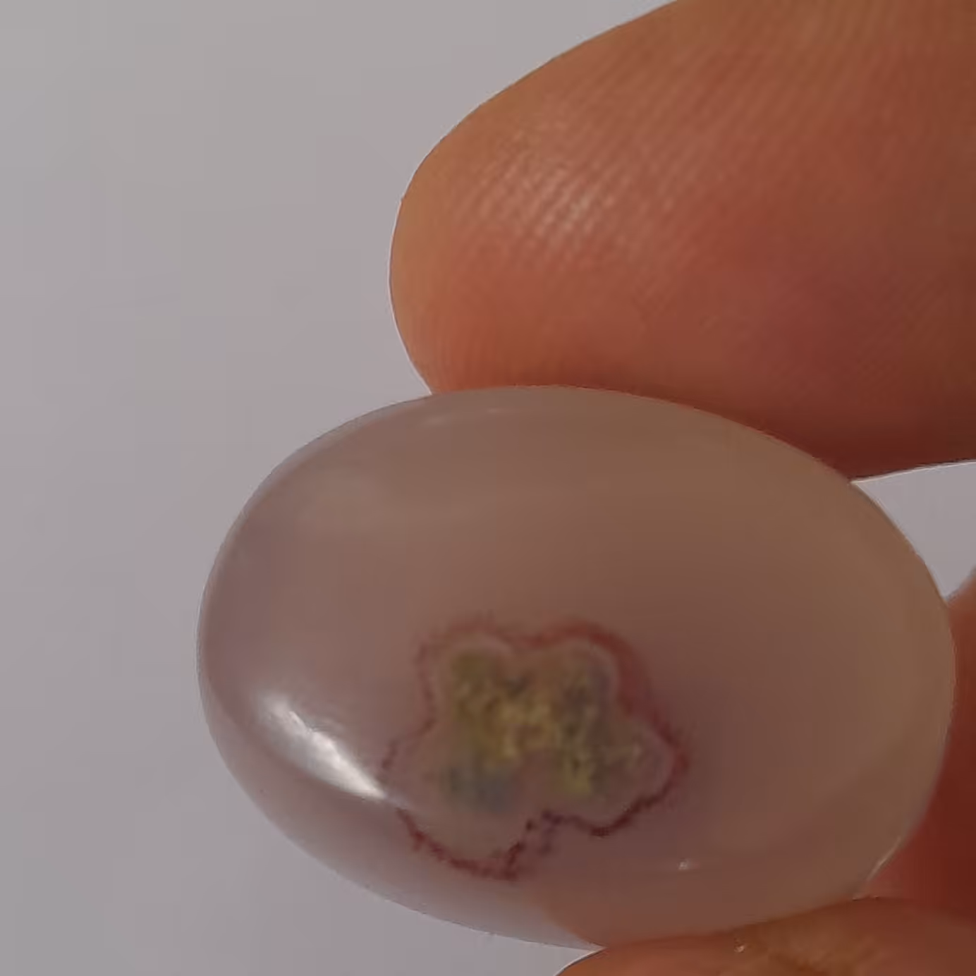 نگین عقیق سوسنی بسیار زیبا دارای شجر دیدنی طرح دامله