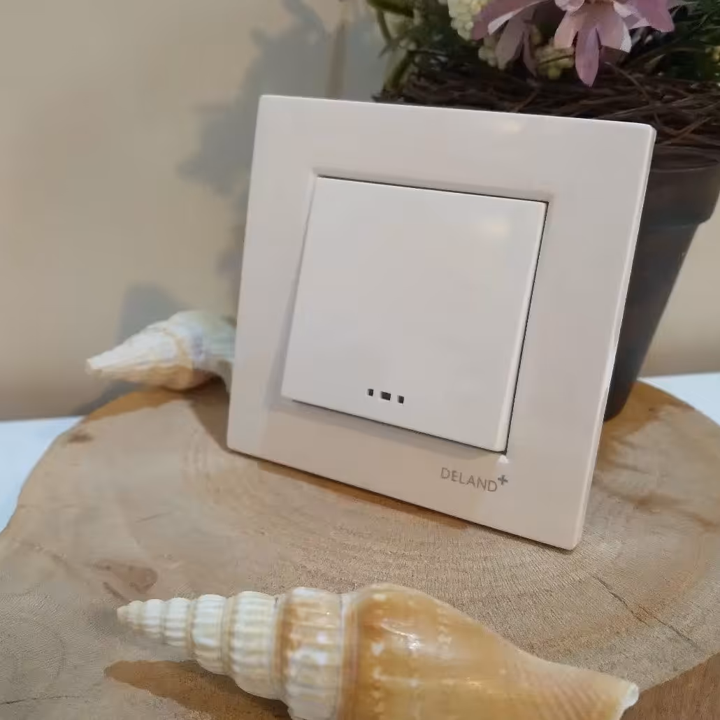 کلید پریز  دلند پلاس - مدل آسا