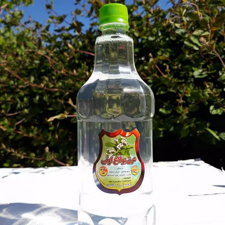 عرق بولاغ اوتی