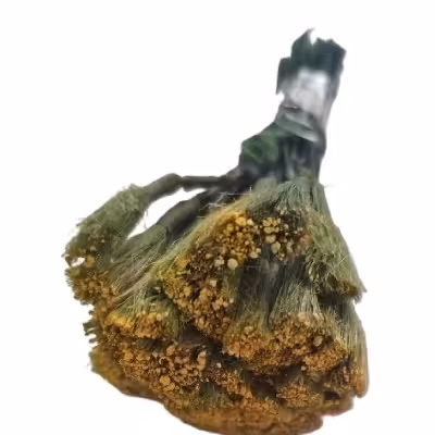 پرچم گل مدل جارویی