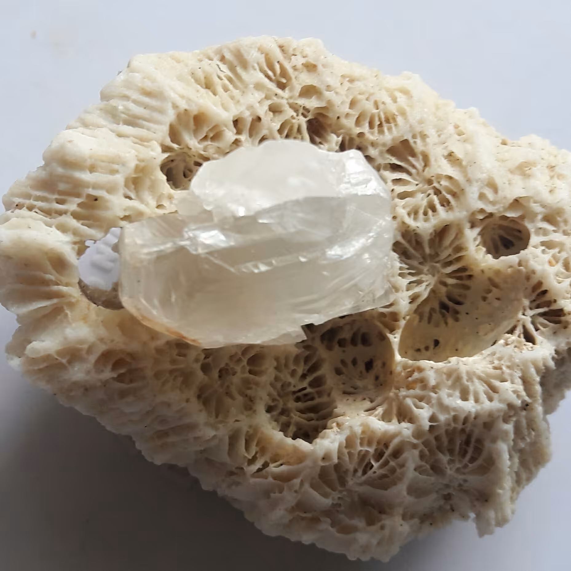 راف  کریستال میله ای کوارتز (در کوهی)طبیعی شفاف