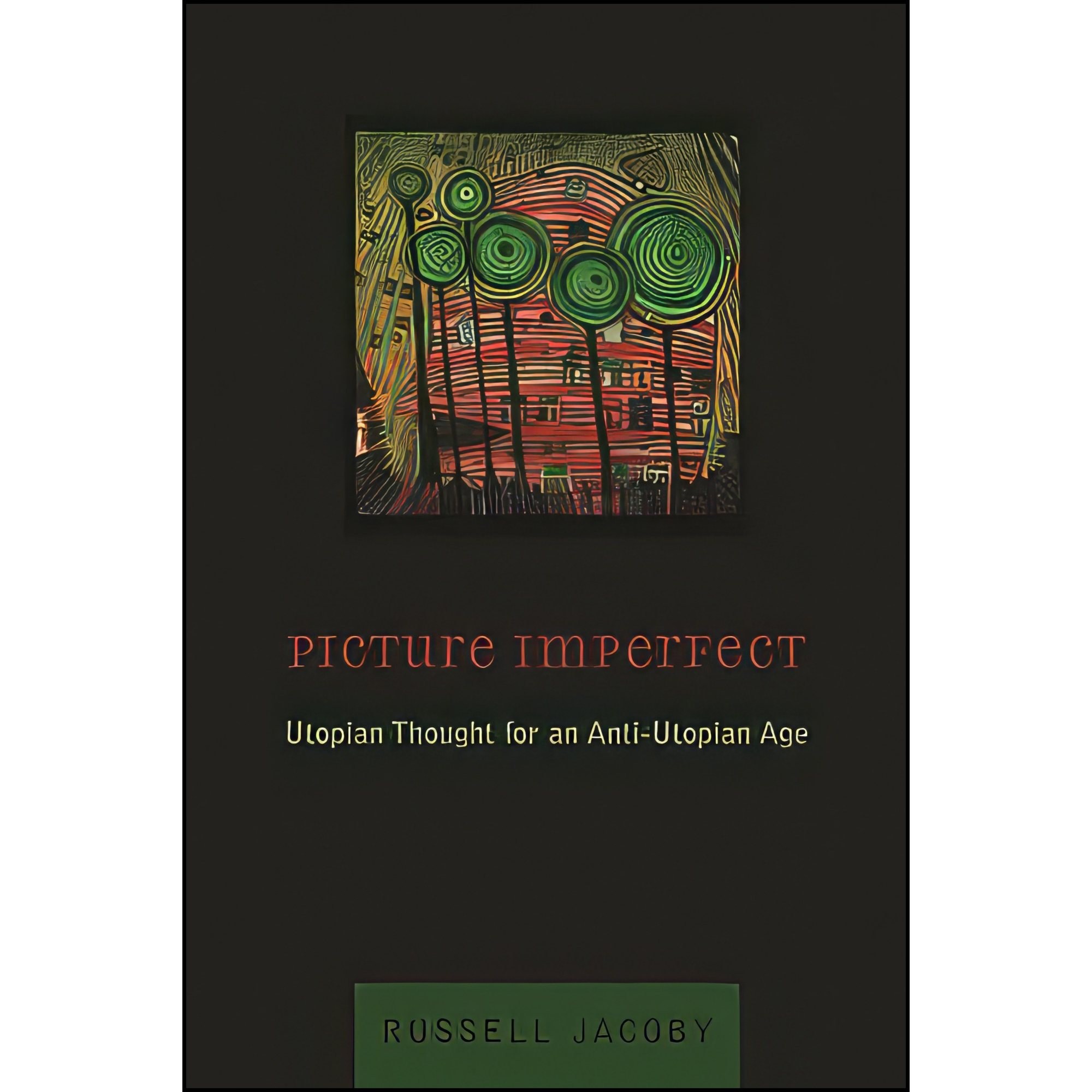 کتاب زبان اصلی Picture Imperfect اثر Russell Jacoby