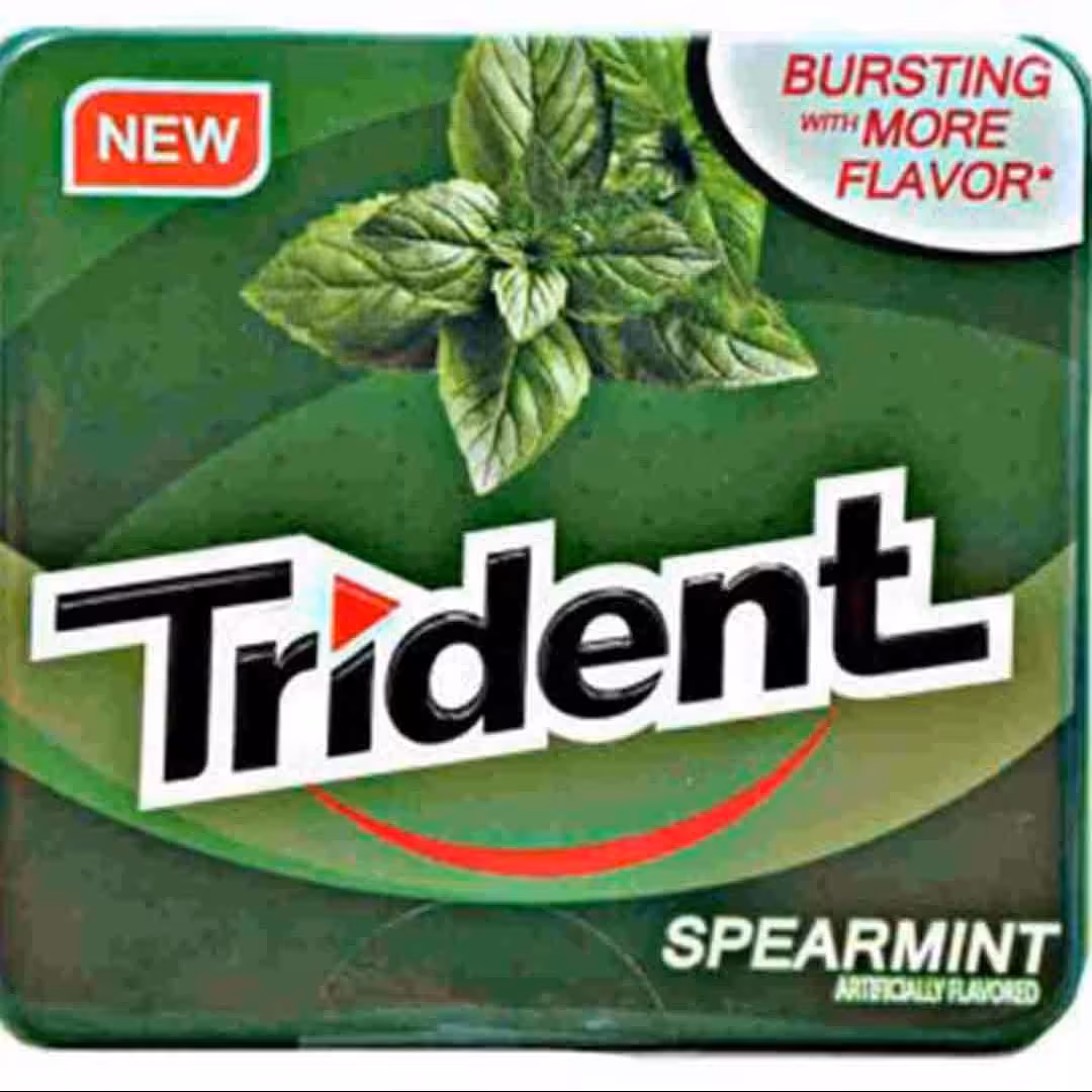 آدامس تریدنت فلزی نعنایی 35 گرم Trident