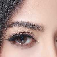 لنز چشم هرا سالیانه خاکستری عسلی دور دار 
