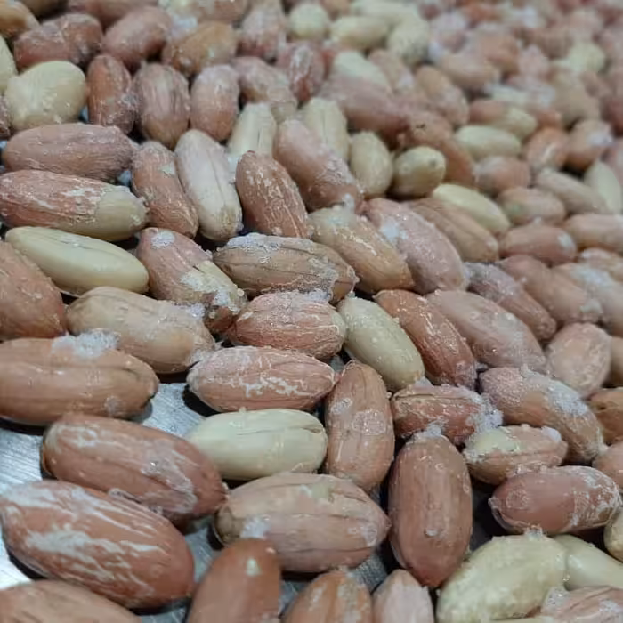 بادام زمینی آستانه تفت داده با نمک دریا(کم نمک)