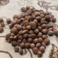 فندق با پوست