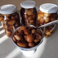 سیر ترشی طبیعی (500گرمی)