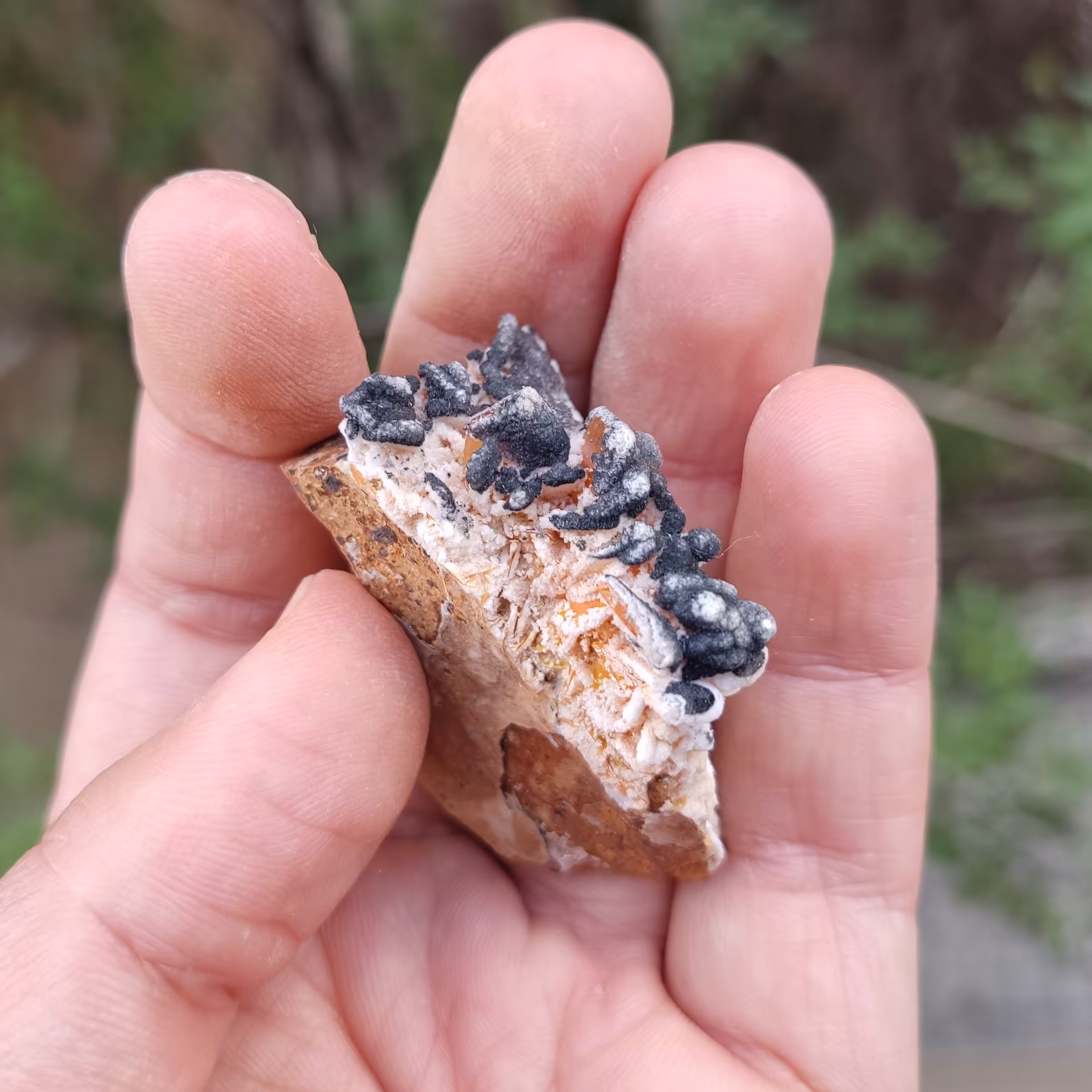 سنگ ولفونیت با هم رشدی کلسیت کلکسیونی (کد19)