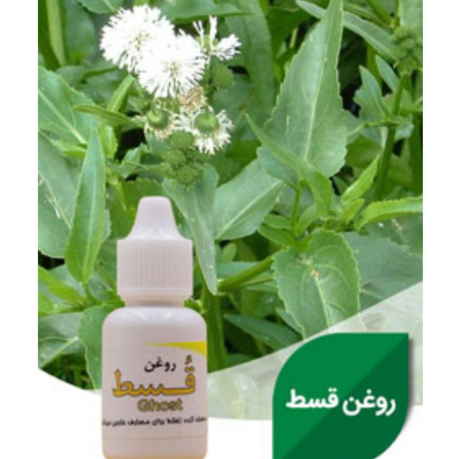 روغن قسط 30سی سی تقویت اعصاب ، معده و..
