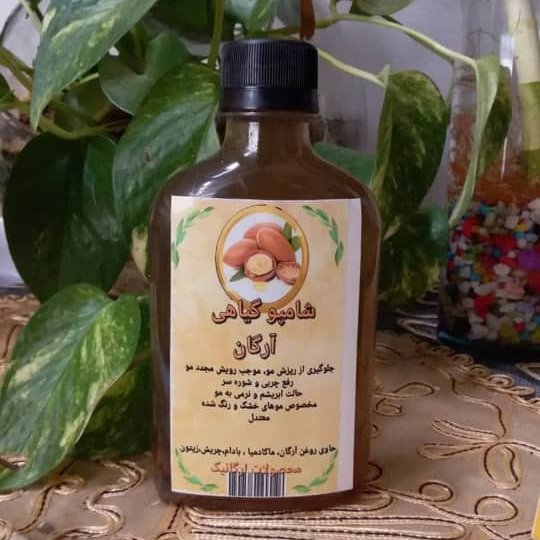 شامپو های گیاهی