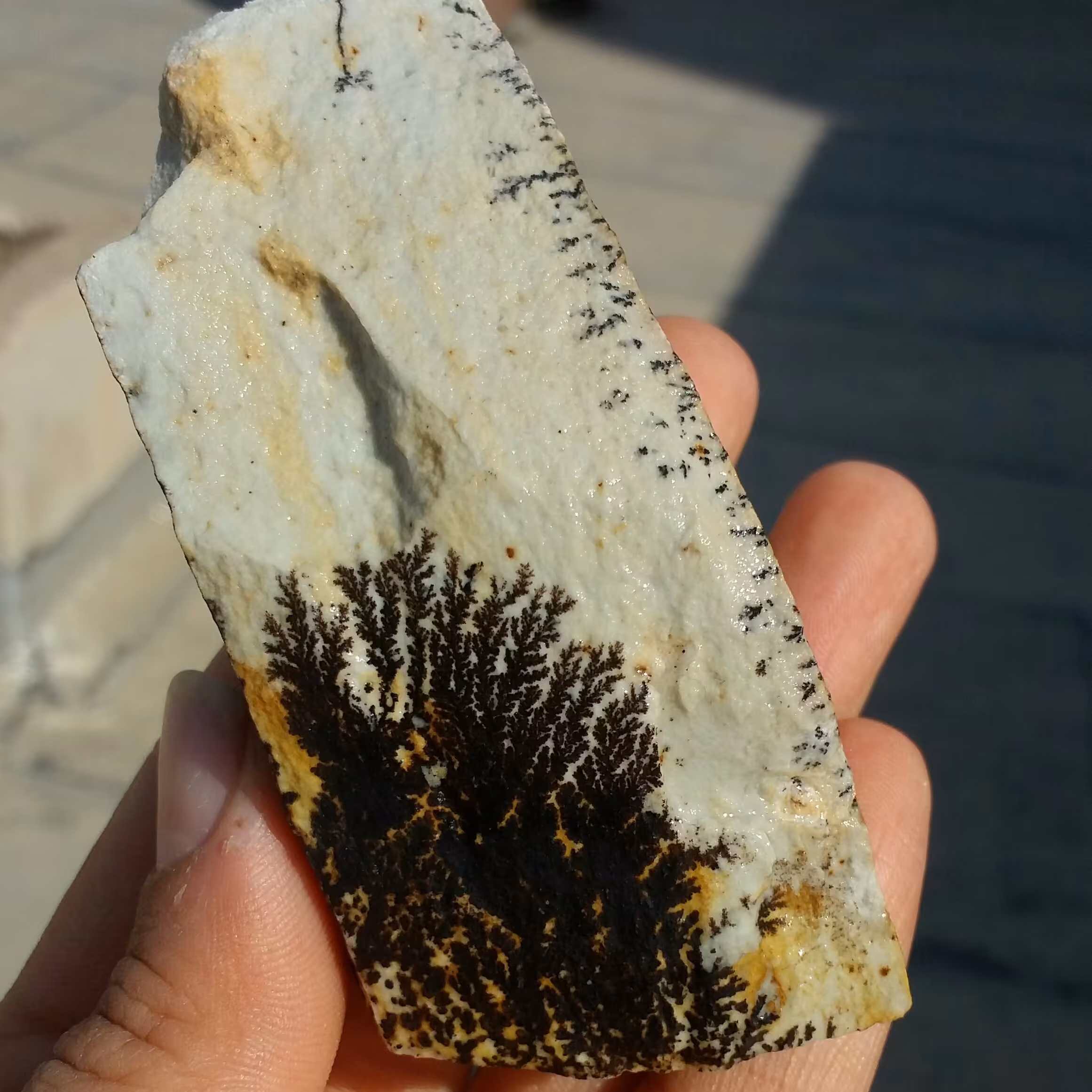 سنگ راف 100 در 100 طبیعی شجر دندریتی یا فسیلی محشر خاص شاهکار خلقت
شجر واضح خاص
تصویر از دو طرف نمونه بی نظیر
کد 9459