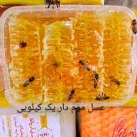 عسل موم دار طبیعی یک کیلویی/مزرعه عسل آریانا