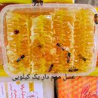 عسل موم دار طبیعی یک کیلویی/مزرعه عسل آریانا