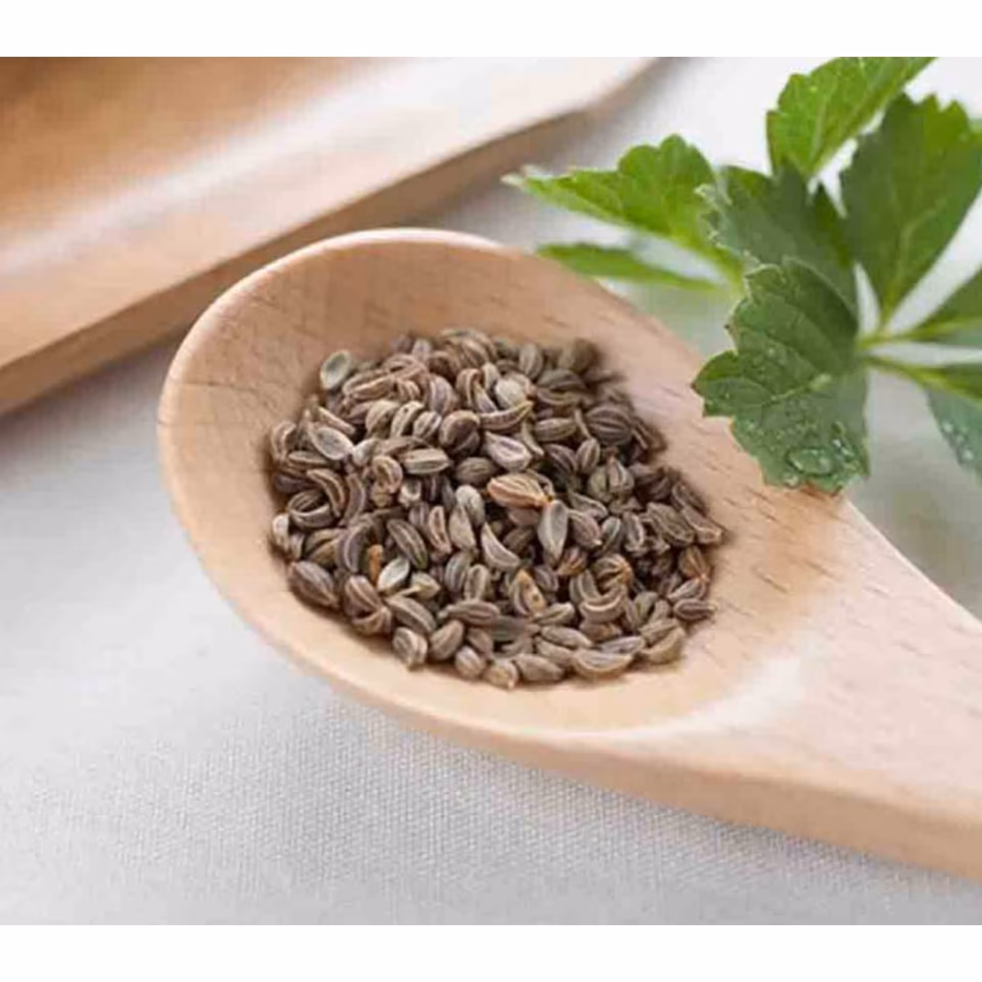 تخم جعفری 100 گرم پاکسازی کلیه 
