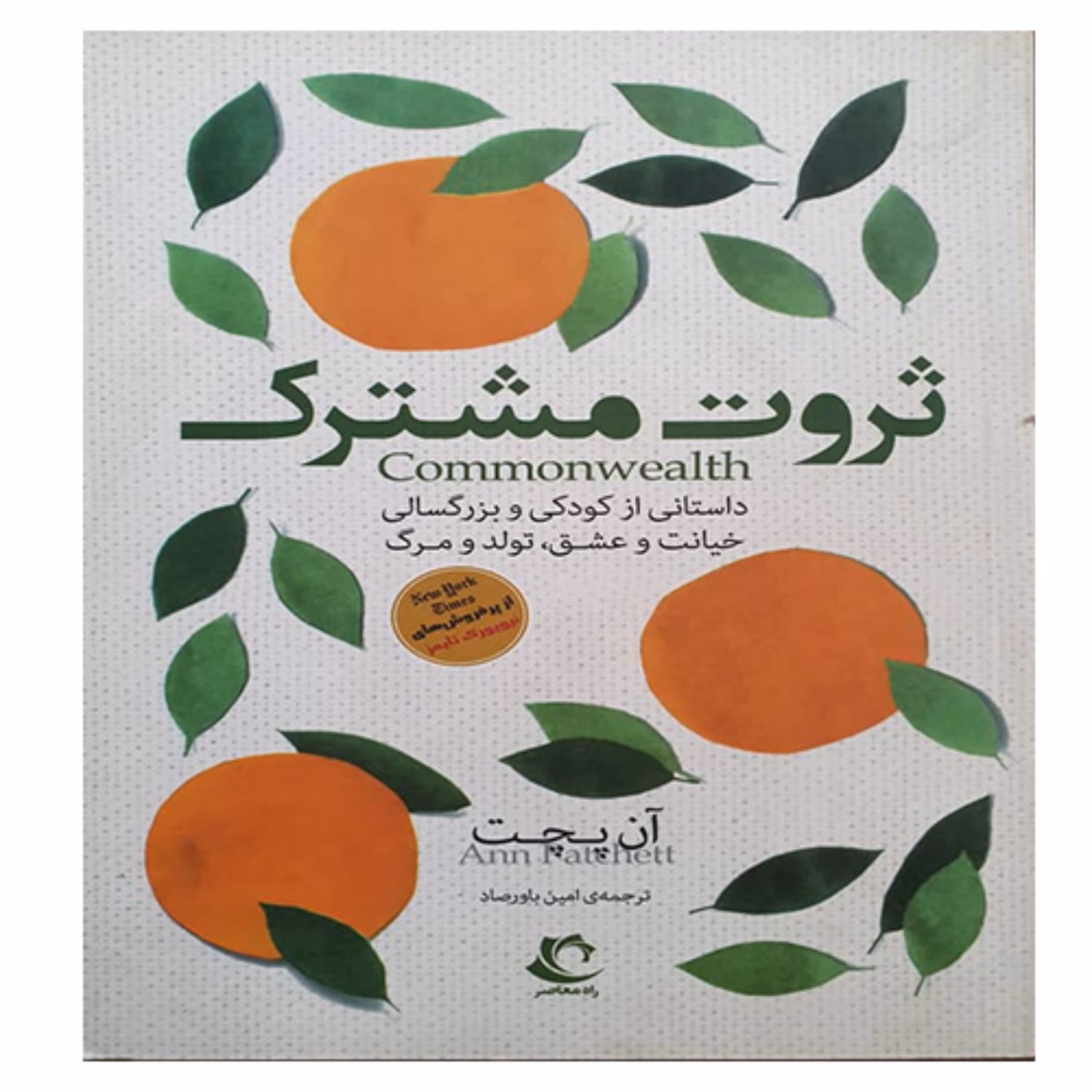 کتاب داستانی از کودکی و بزرگسالی ( ثروت مشترک )
