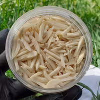 خلال بادام درختی درشت اعلا 200 گرمی 