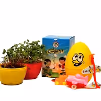 جعبه شانسی دونه شانسی مریان
