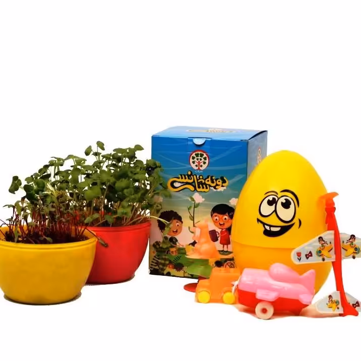 جعبه شانسی دونه شانسی مریان
